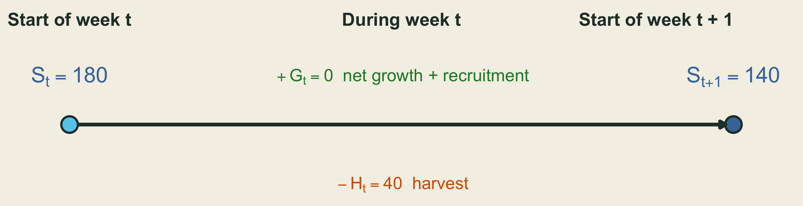 A timeline runs from the start of week t, when the fish stock S subscript t equals 180 metric tons, to the start of week t plus 1, when stock S subscript t plus 1 equals 140. During the week, net growth and recruitment G subscript t adds zero and harvest H subscript t subtracts 40 metric tons.