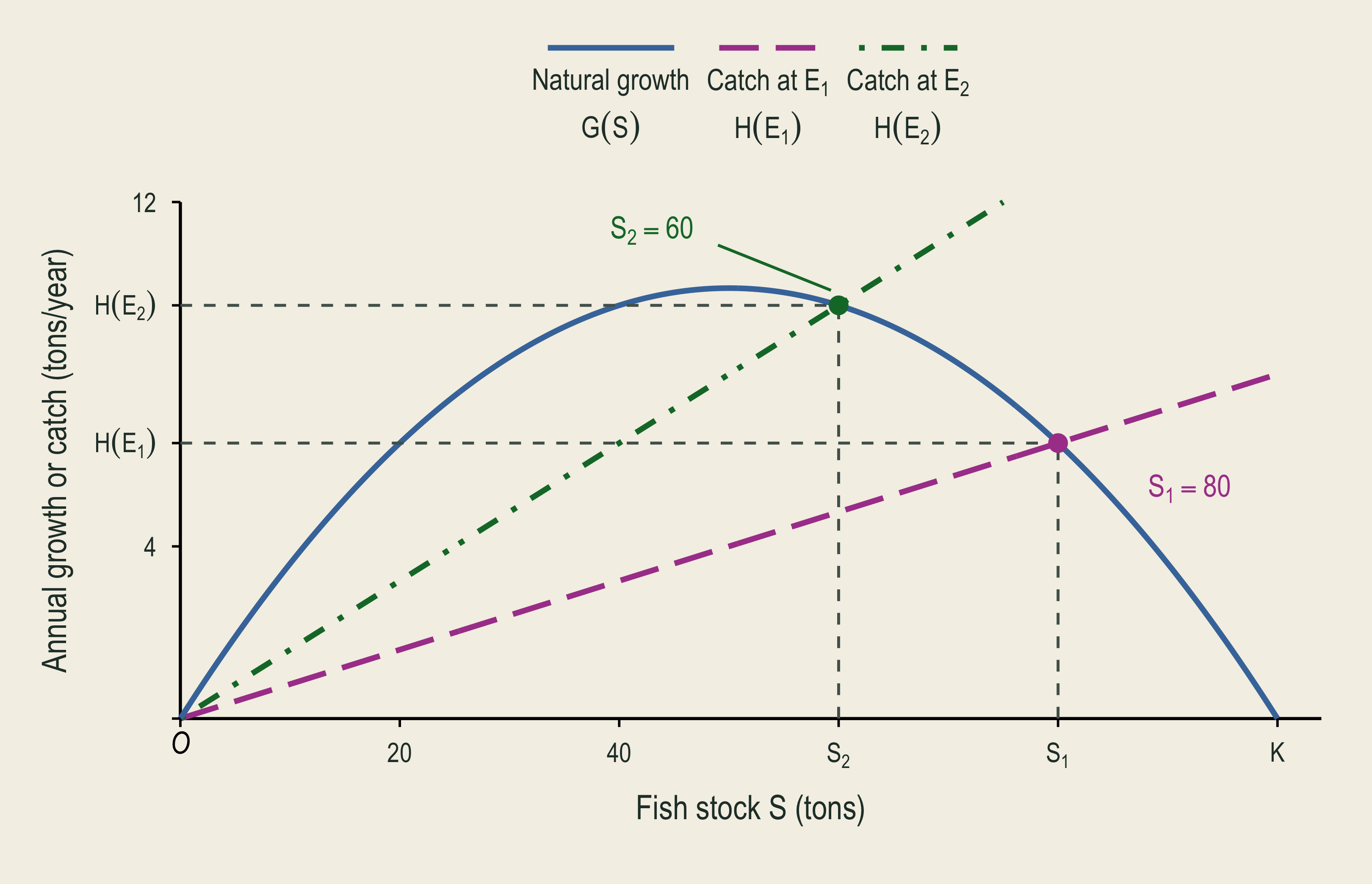 A steeper higher-effort harvest line intersects growth at a smaller stock of sixty and a sustainable catch of nine point six.