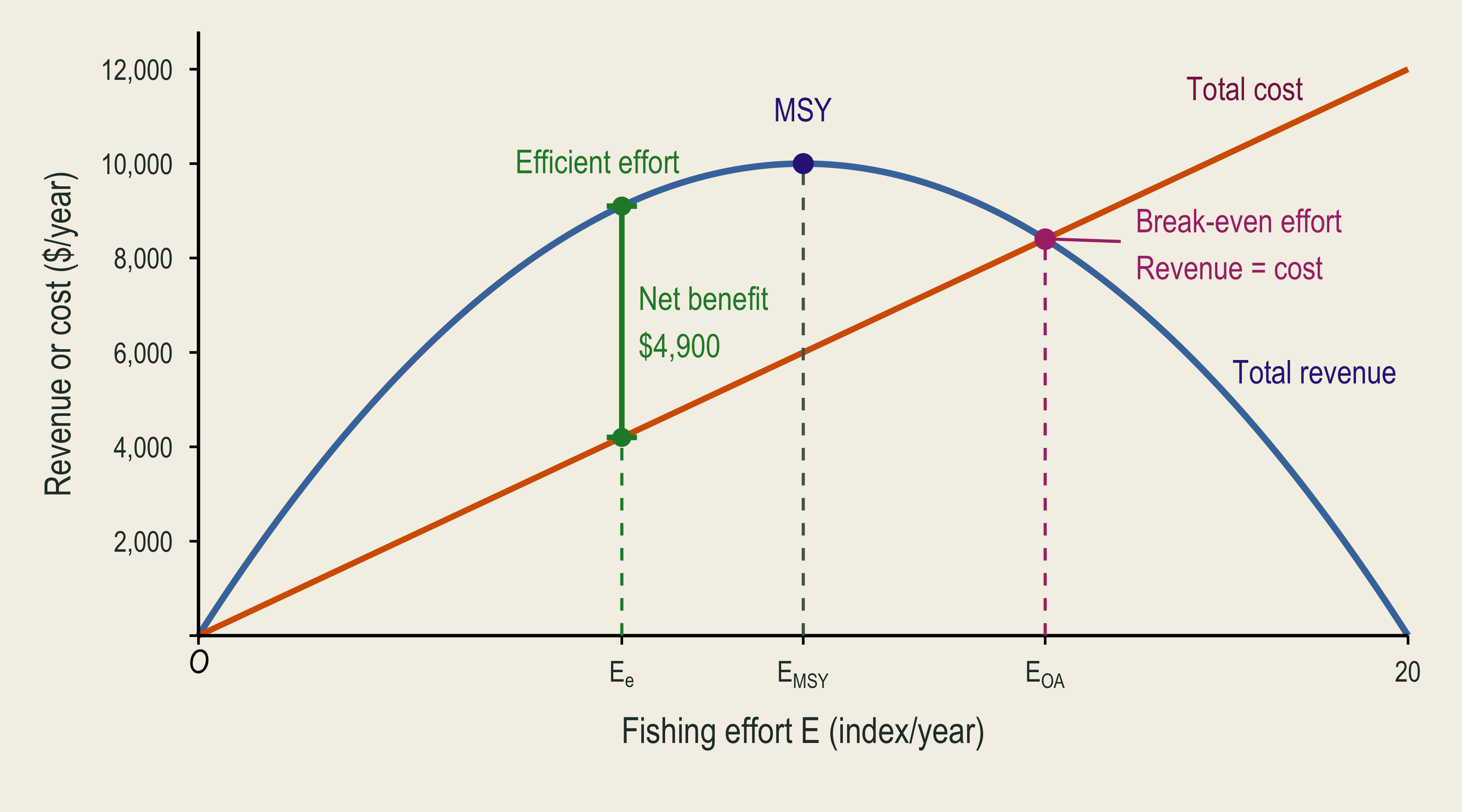 The static efficient effort seven differs from MSY effort ten and the positive break-even effort fourteen.
