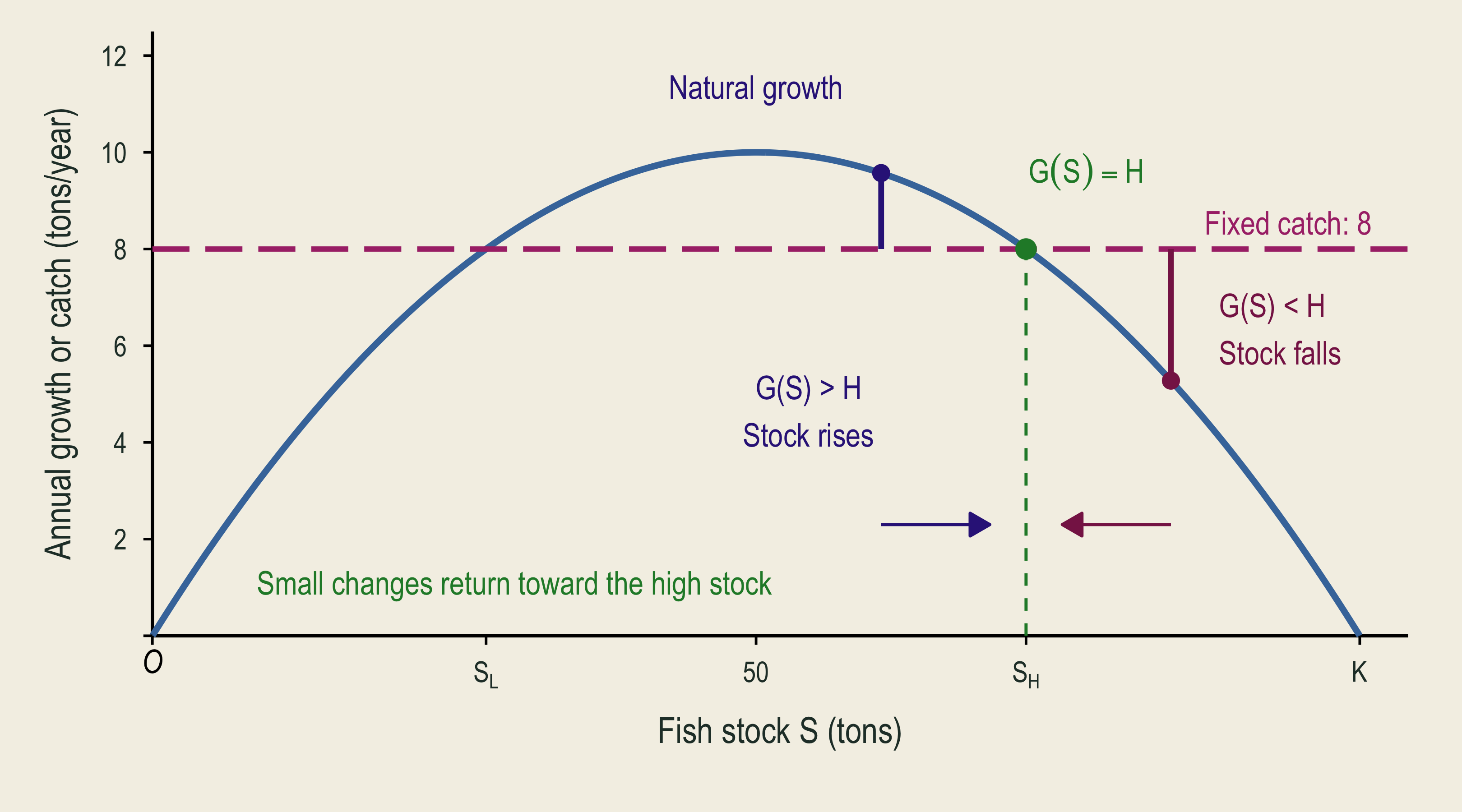 Just above the higher intersection, catch exceeds growth. The stock moves back down, showing why this stock is stable.