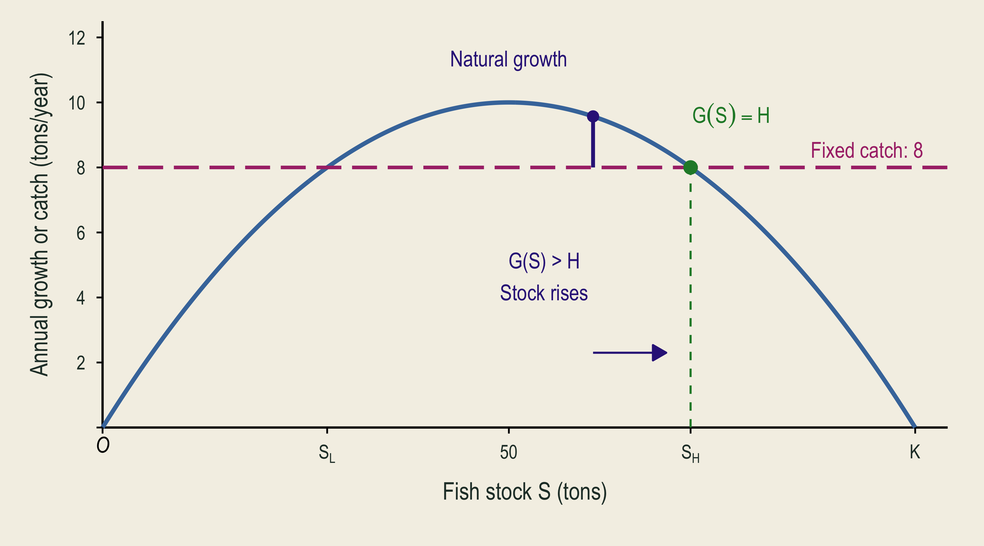 Just below the higher intersection, growth exceeds fixed catch. The stock moves back up toward the intersection.
