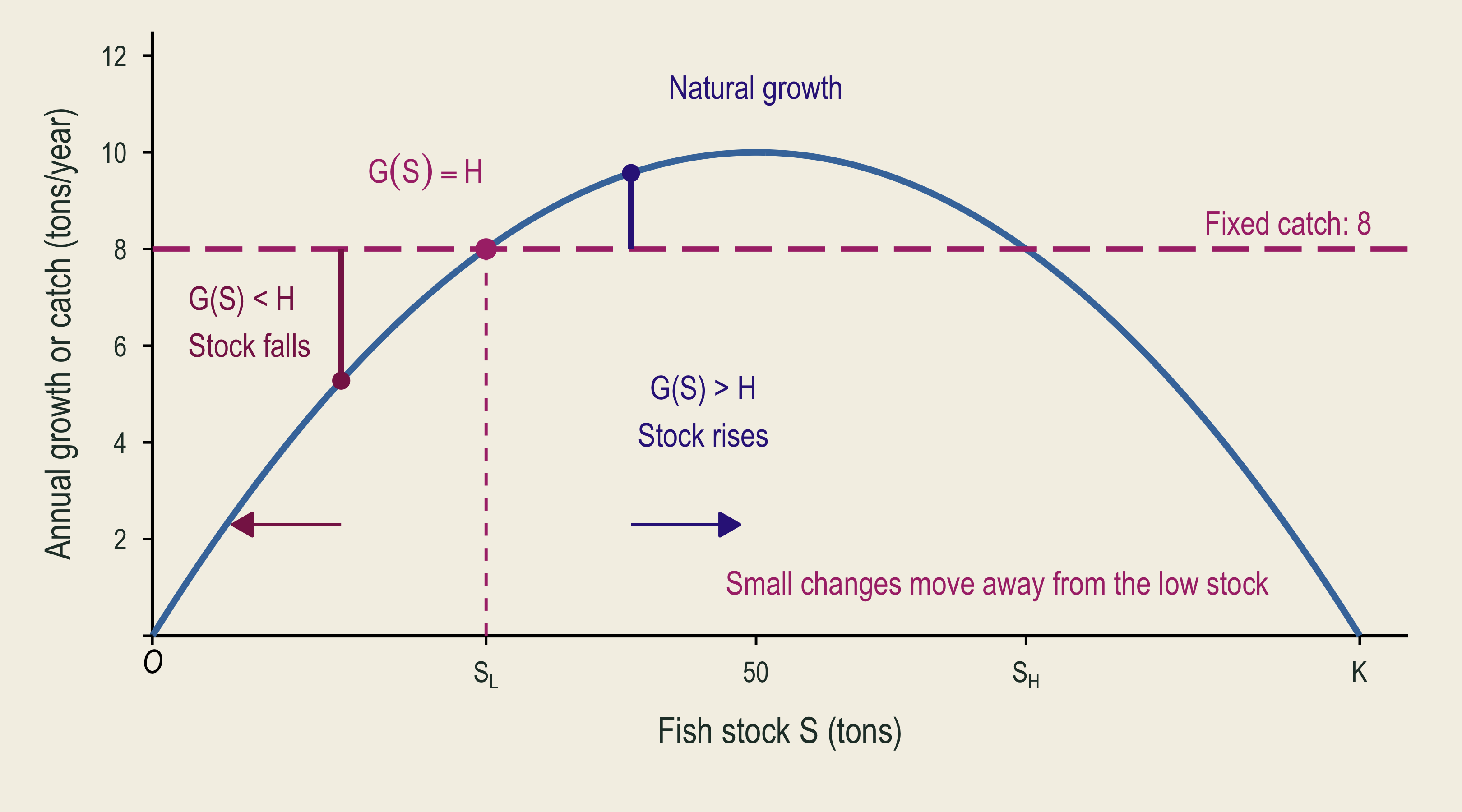 Just above the lower intersection, growth exceeds catch. The stock moves farther up, showing why this stock is unstable.