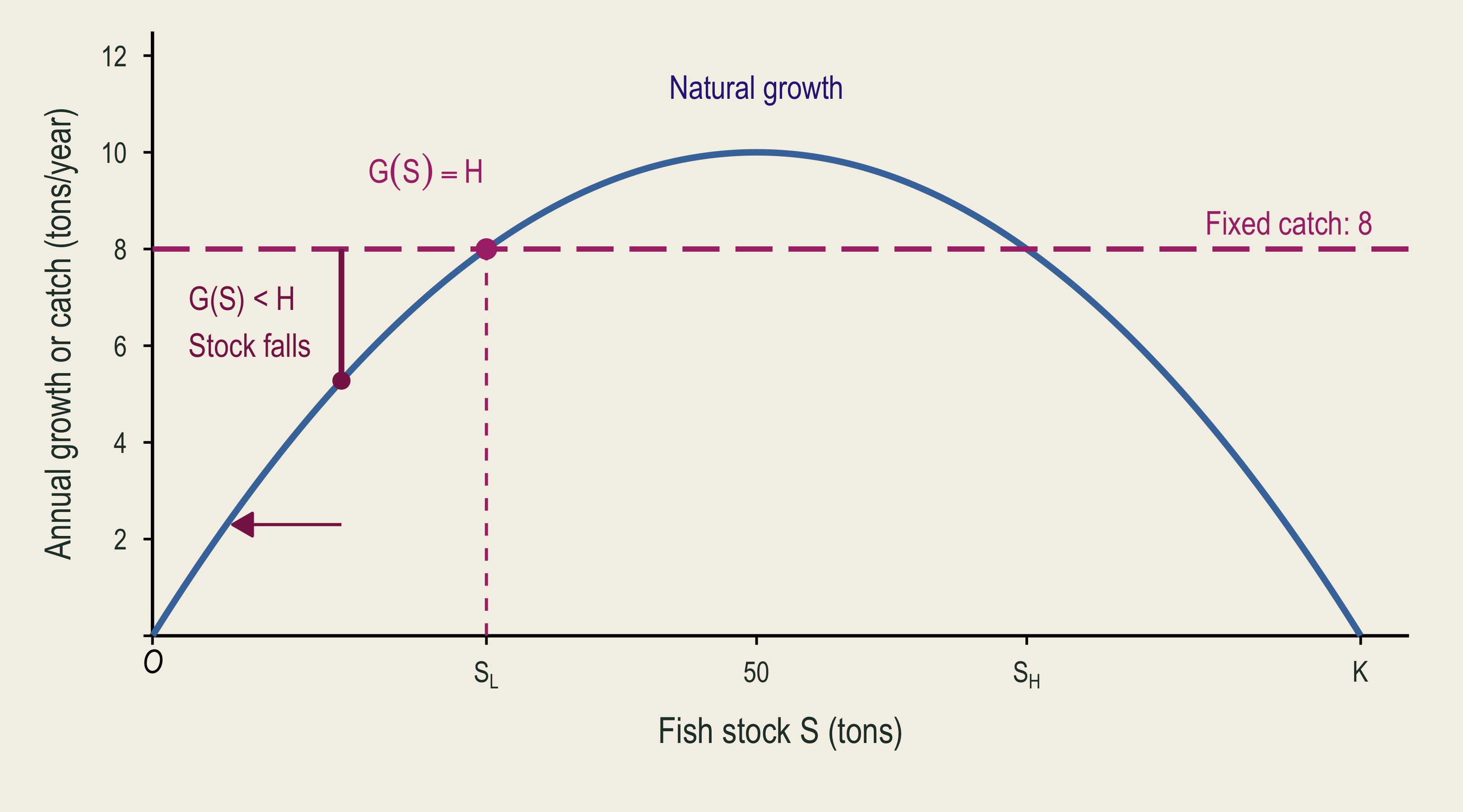 Just below the lower intersection, catch exceeds growth. The stock moves farther down away from the intersection.