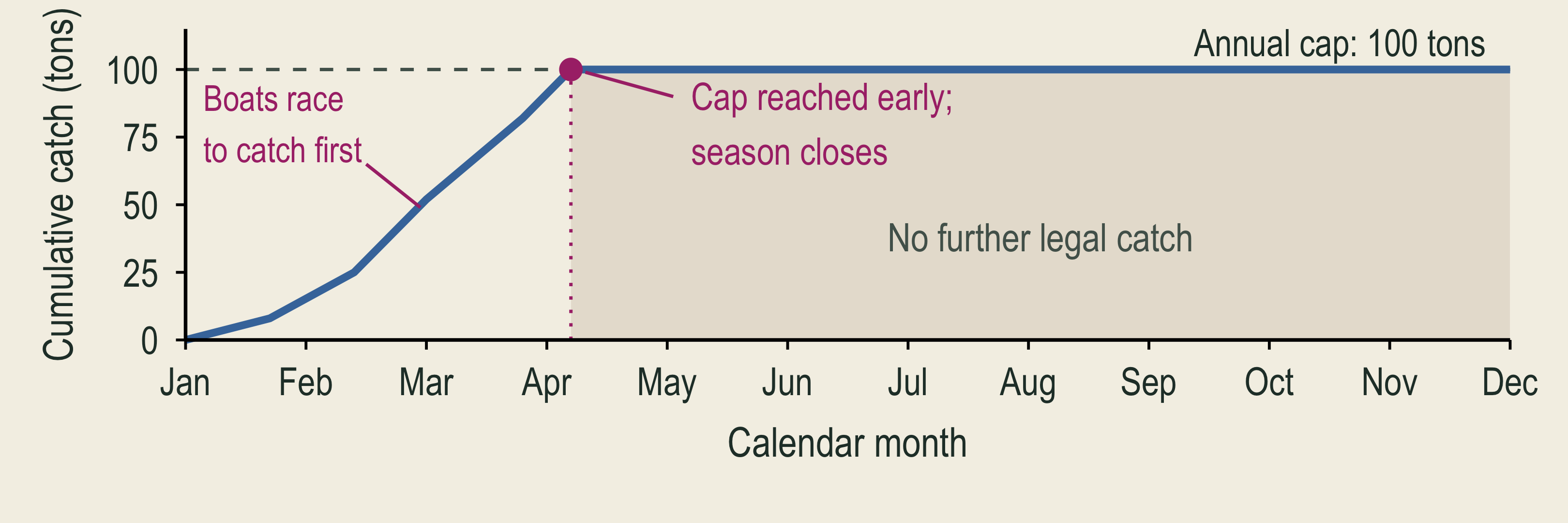 Before the season closes in April, boats race to catch fish before others use up the fleet's one-hundred-ton cap. The rising segment shows this race; cumulative catch stops rising when the cap is reached. This is an illustrative schedule, not observed data.