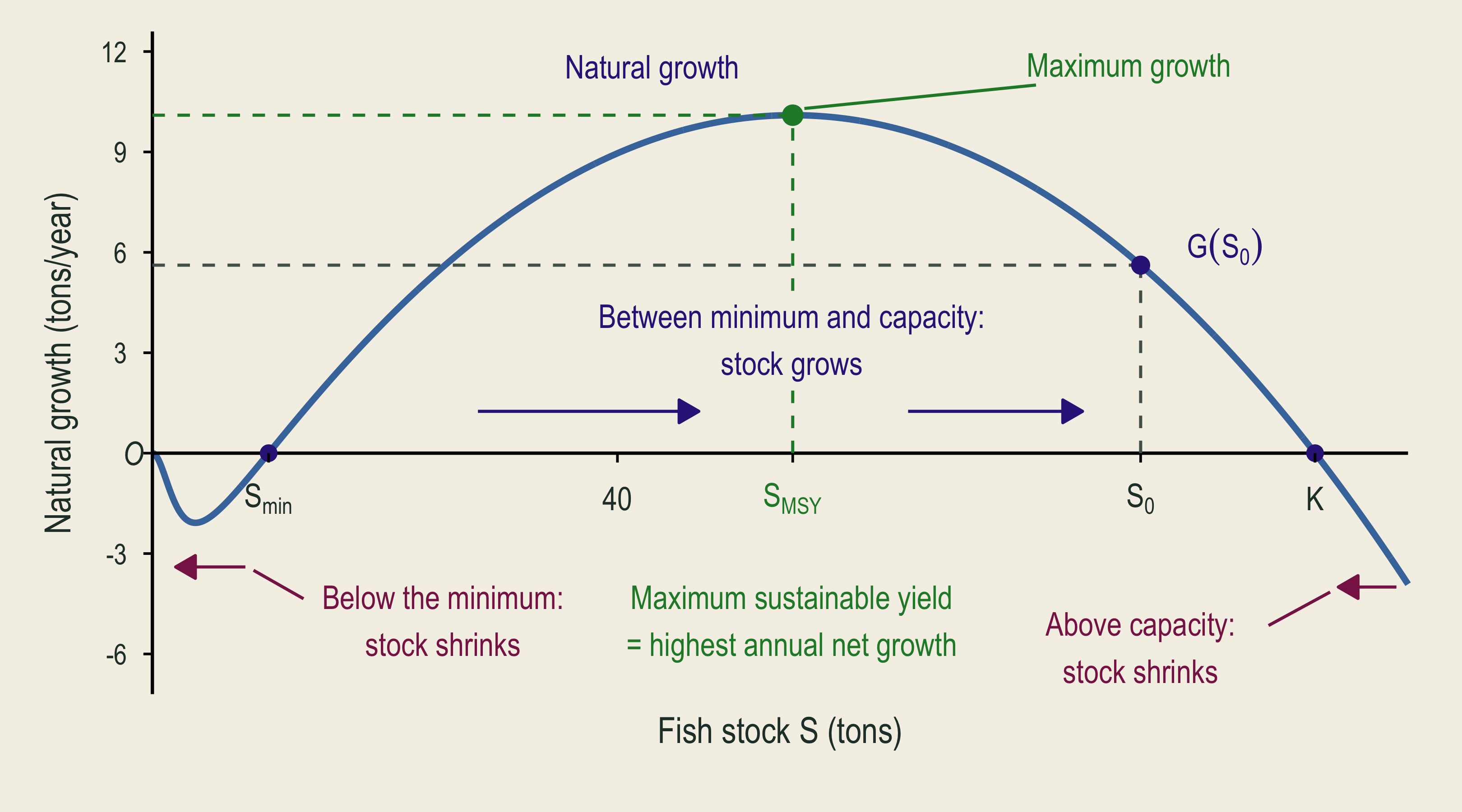 The maximum-growth point and maximum sustainable yield are added to the same stock and natural-growth diagram.