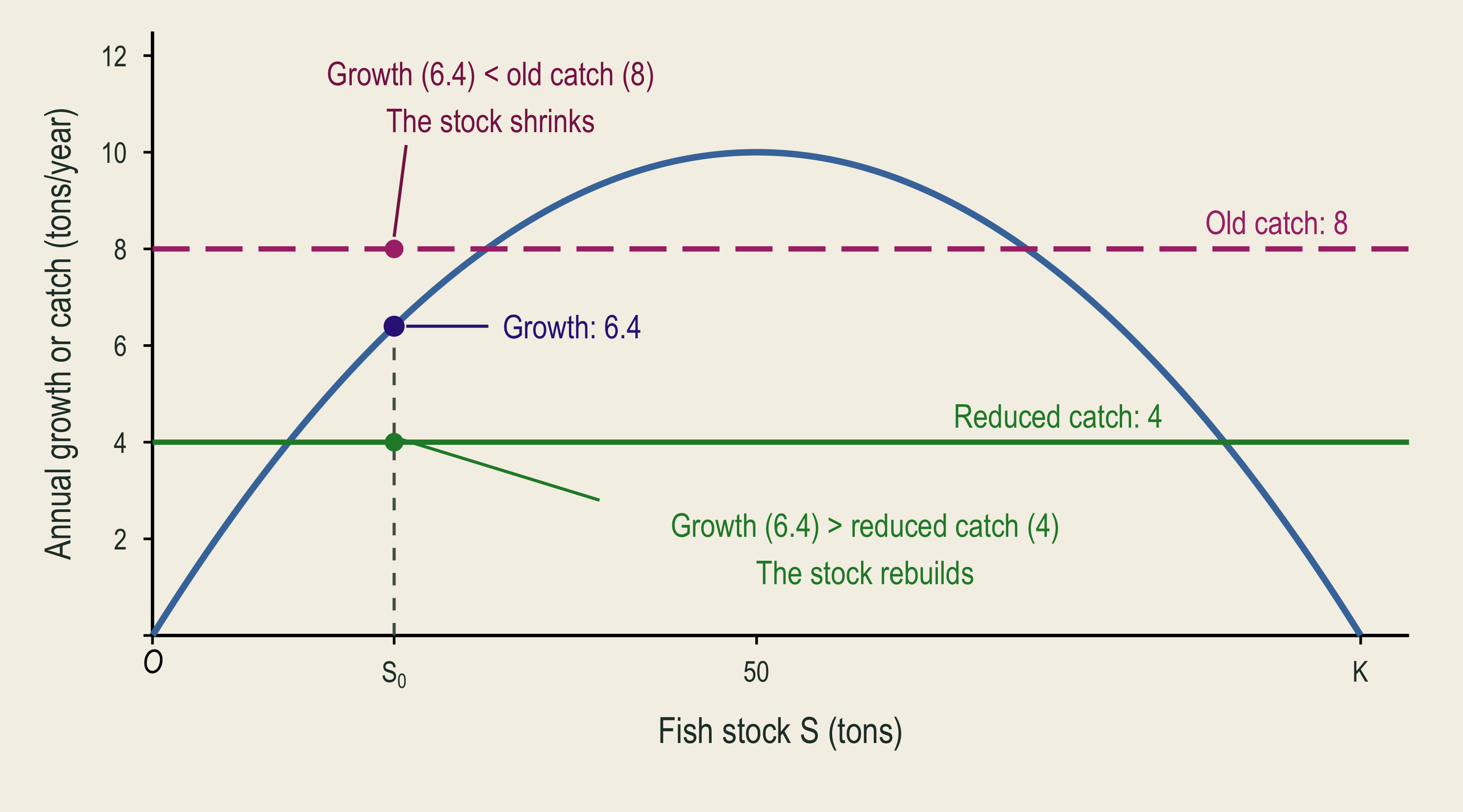 At stock twenty, growth is six point four tons. A catch limit of eight reduces the stock, while a catch limit of four leaves net growth for rebuilding.