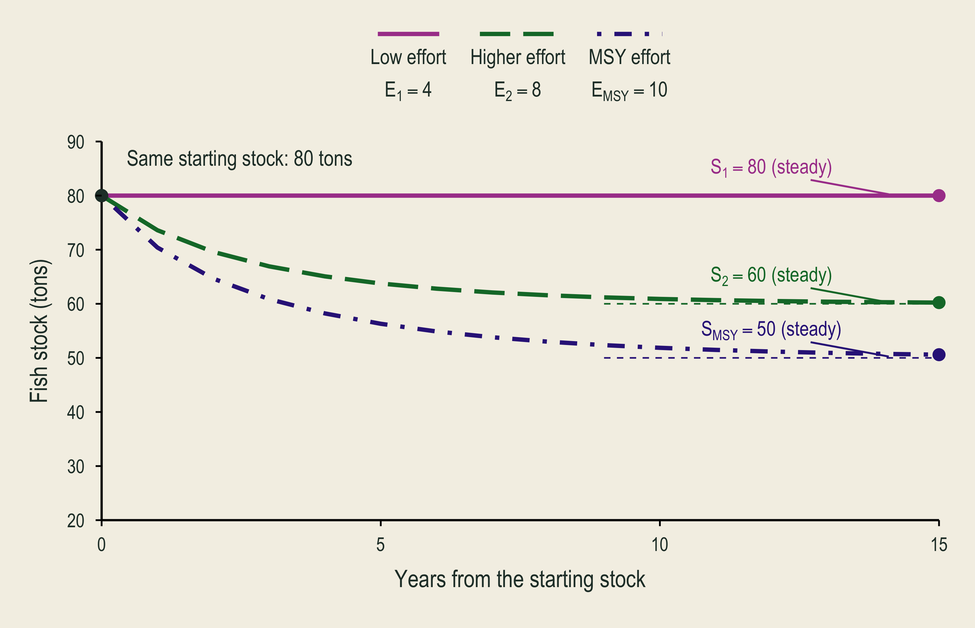 Maintained MSY effort of ten is added to the same stock paths. Starting at eighty tons, stock first falls to seventy point four and approaches fifty, supporting the largest sustainable annual catch of ten.
