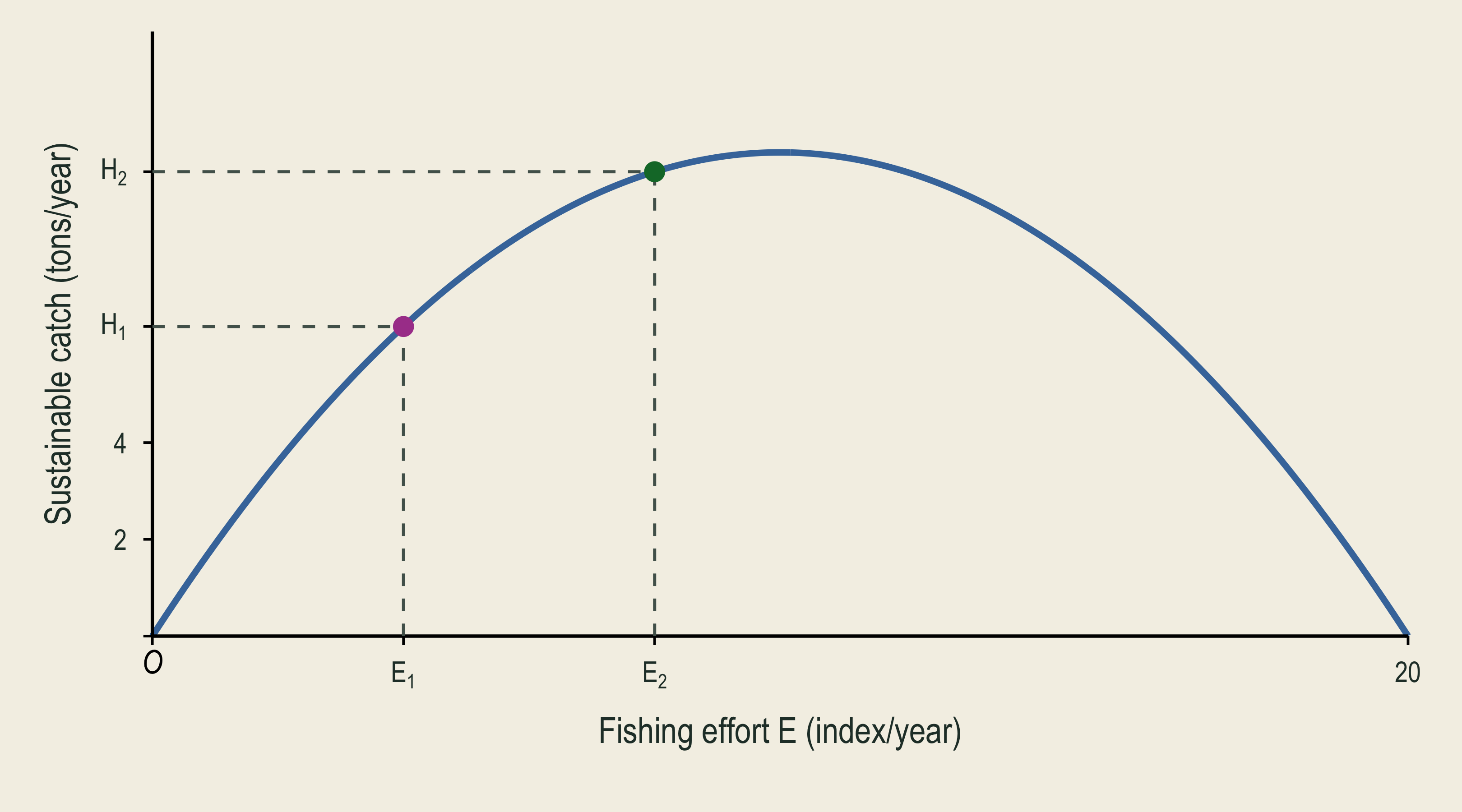 The sustainable-yield curve maps effort four to catch six point four and effort eight to catch nine point six.